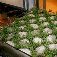 Concrete + Grass = Grasscrete
