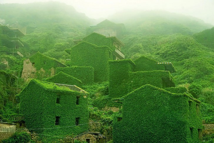 Abandoned Chinese Village On Goqui Island Swallowed By Mother Nature